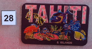 Magnet AQUARIUM